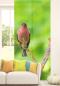 Preview: Der Stille Flächenvorhang 2teilige mit tollem Vogelmotiv - Singvogel - 2er Set